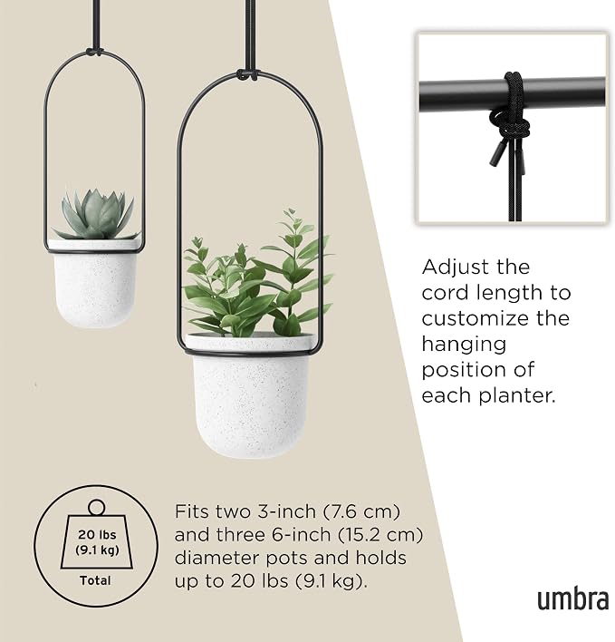 Umbra Triflora Hanging Planter for Window, Indoor Herb Garden - Image 5