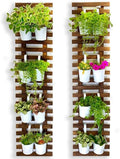 ShopLaLa Wall Planter by ShopLaLa
