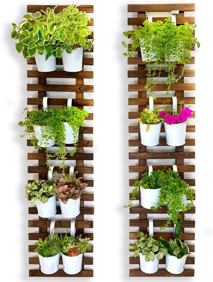 ShopLaLa Wall Planter by ShopLaLa
