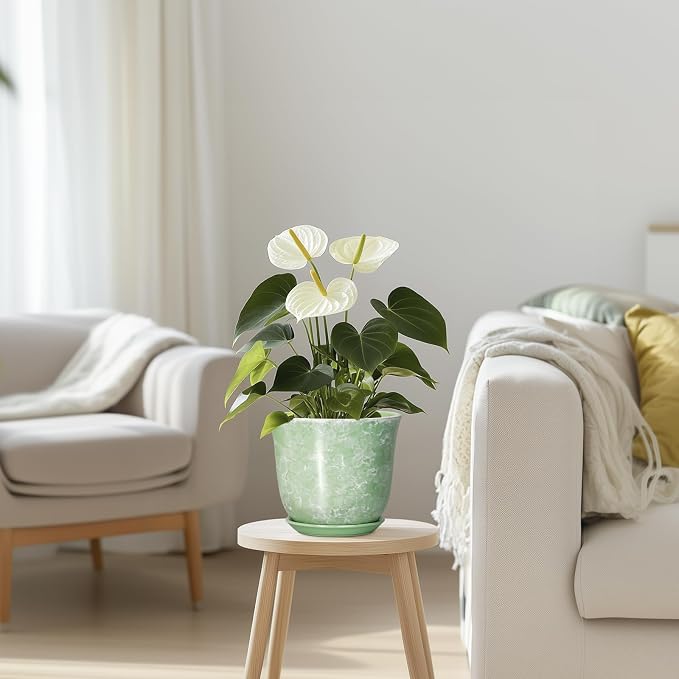 Ceramic Plant Pots - Image 7