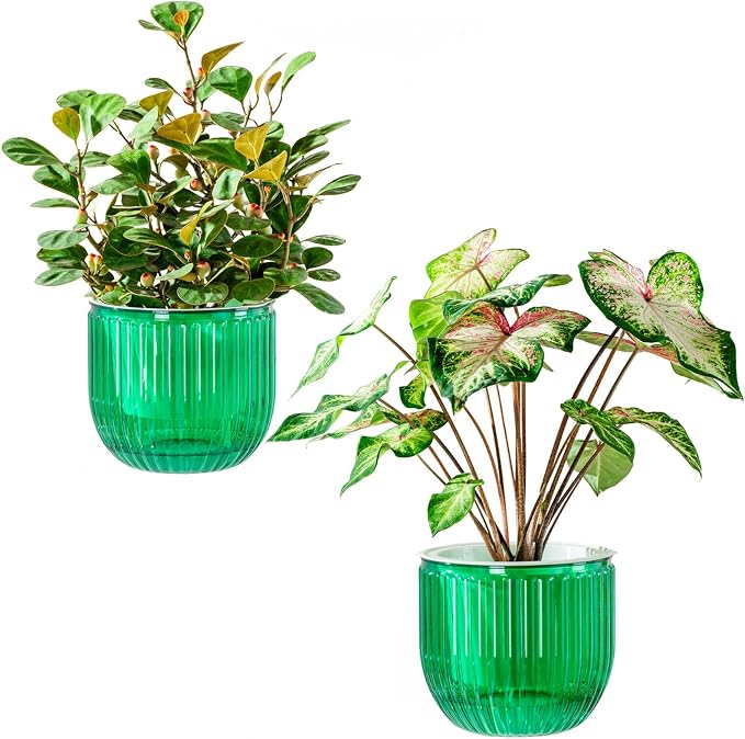 Melphoe Self Watering Pots for Indoor Plants Planter, 6.5 Inch 2 Pack Planters by Melphoe