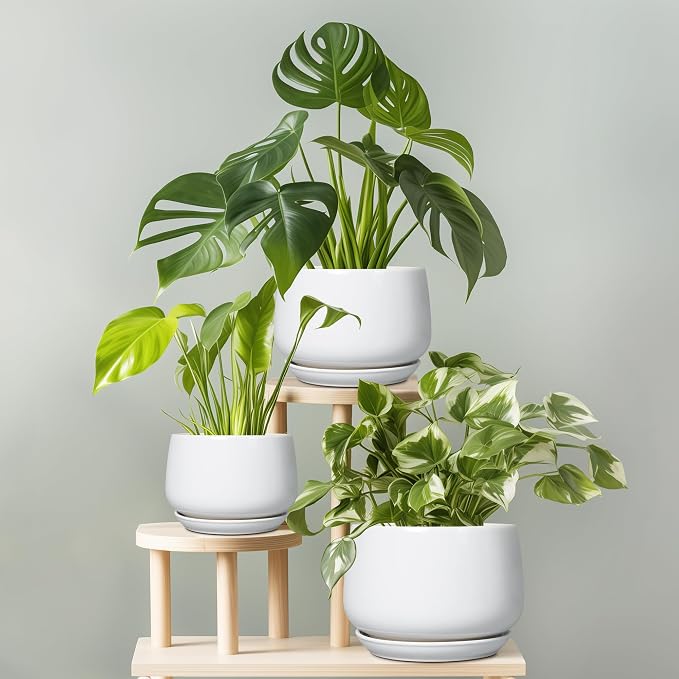 G EPGardening Ceramic Pots for Plants - Image 7