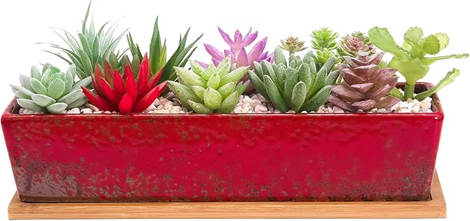 Succulent Pots - Large Succulent Planter Pots by ARTKETTY