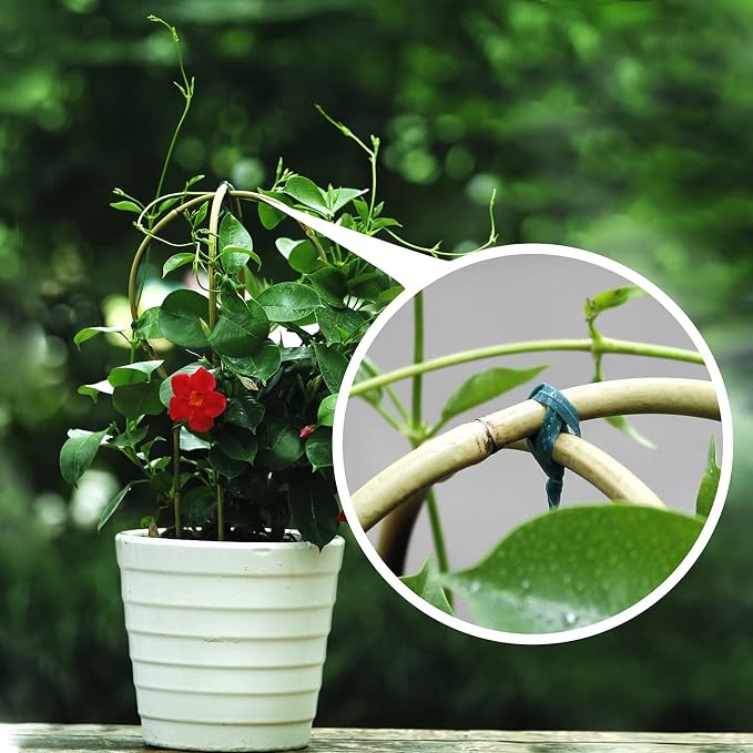 Plant Trellis Indoor, 3 Pack Bamboo Trellises, 16in Fan-Shaped Trellis - Image 7