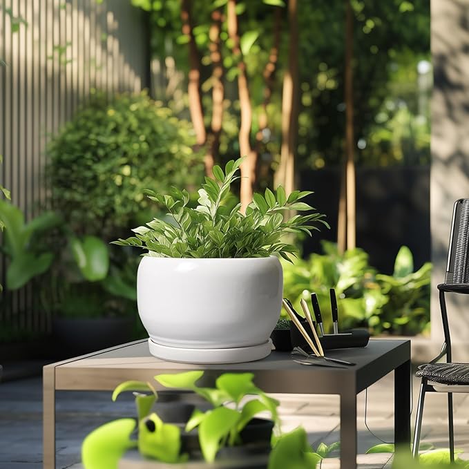 SQOWL Ceramic Pot for Plants - Image 5