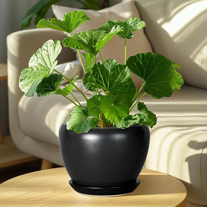 Ceramic Planter Pot - Image 7