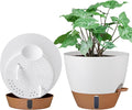 montresor 2 Pack 10 inch Plant Pots, PP Plastic Self Watering Plant Pot by Montresor