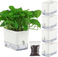 Planterhoma Self Watering Plant Pots by Planterhoma