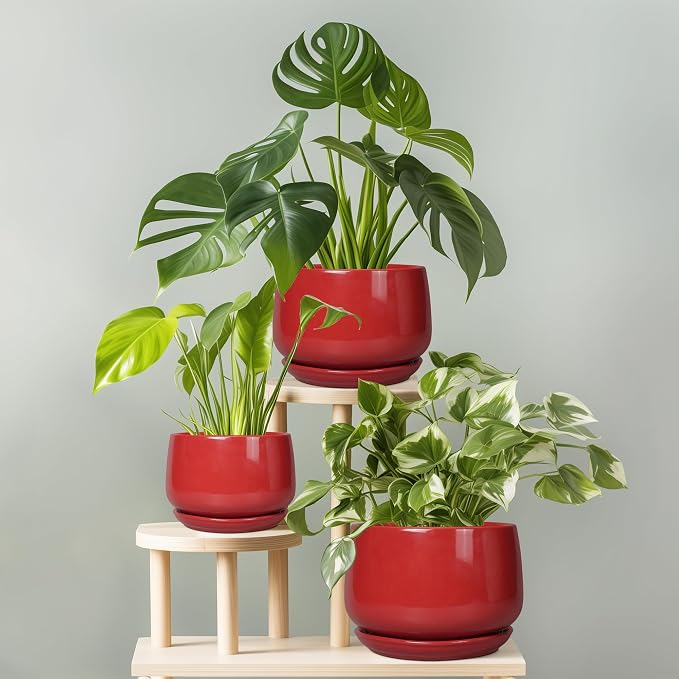 G EPGardening Ceramic Pot for Plants - Image 8