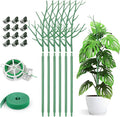 6 Pack Plant Support Stakes for Indoor Plants, 27.56 Inch Twig Plant Sticks by AOM