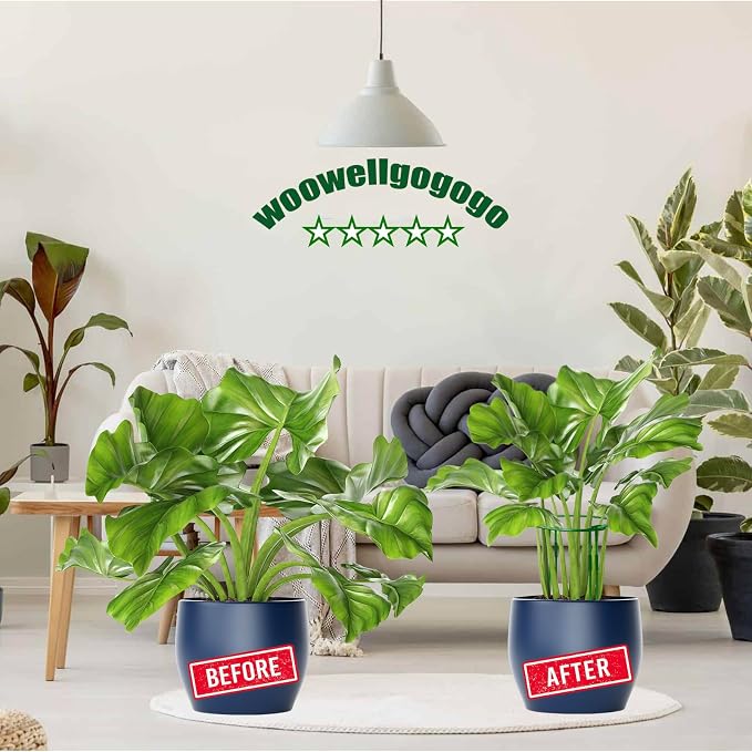 10-Pack Adjustable Height Snake Plant Support Stakes- Sturdy, Rust-Resistant - Image 6