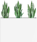 Heavy-Duty Galvanized Steel Planter by Ganeekiron