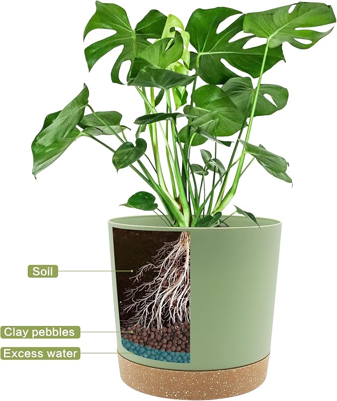 QCQHDU 10 inch Plant Pot, 2 Pack Planters - Image 4