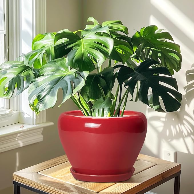 10 Inch Plant Pot - Image 6