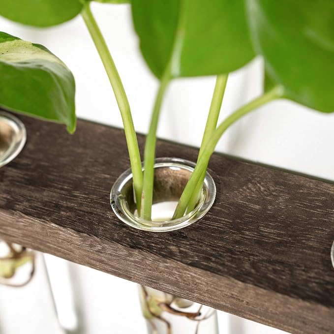 Mkono Plant Propagation Tubes, 3 Tiered Wall Hanging Terrarium - Image 7