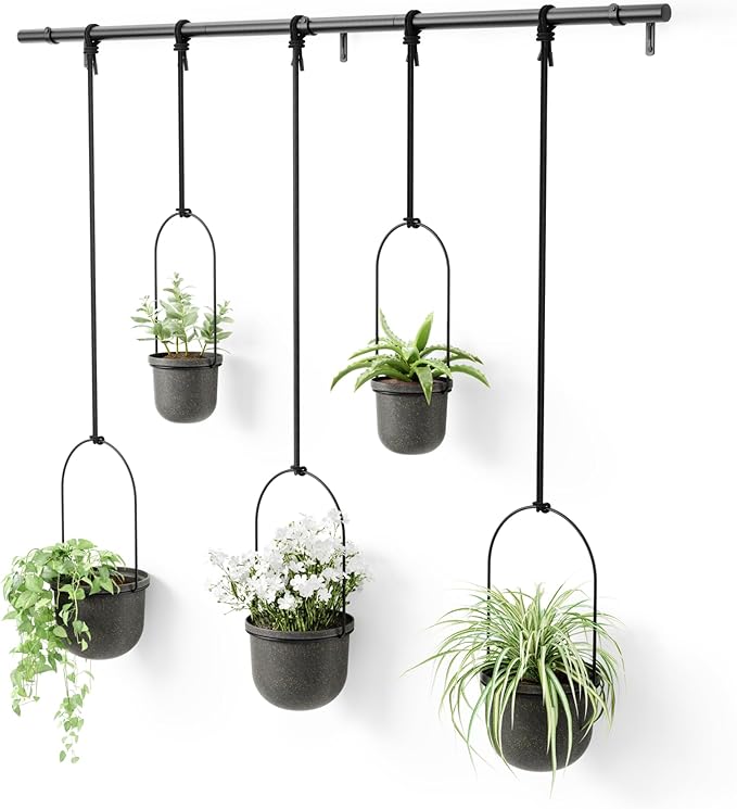 Umbra Triflora Hanging Planter for Window, Indoor Herb Garden by Umbra