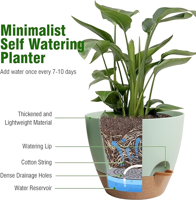 10 inch Self Watering Pots, 2 Pack Plastic Planters - Image 5