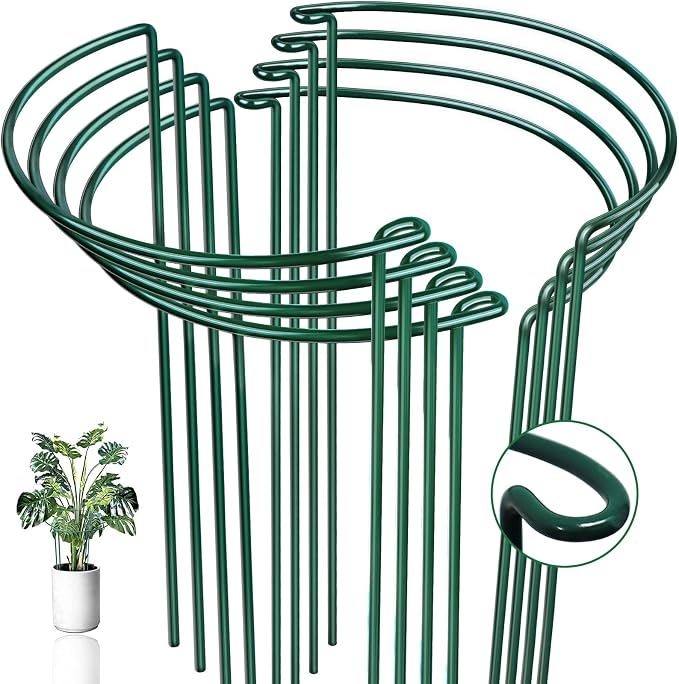 8 Pack Half Round Snake Plant Support Stakes Sets by WooWellGoGoGoProducts