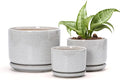 Ton Sin Plant Pots, 4.1+5.1+6.5 inch, Ceramic Planters by TonSin