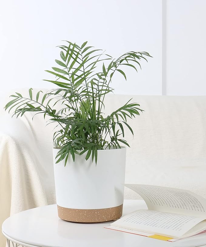 kubvici Indoor Plant Pots Planters 8 inch Plastic Planter - Image 6