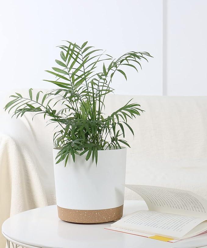kubvici 2 Pack 8 Inch Planters for Indoor Plants, Plastic Flower Pots Plant - Image 5