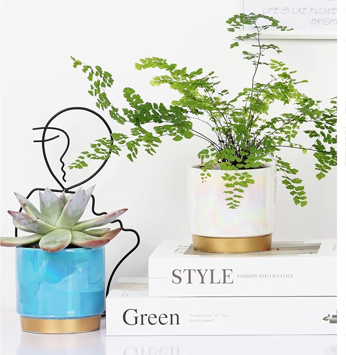 Gepege Succulent Pots for Plants, Succulent Planter - Image 5