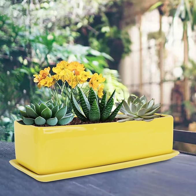 Vencer 14 Inch Rectangular Modern Minimalist Ceramic Succulent Planter Pot - Image 5