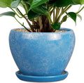 6 Inch Plant Pot by Ceramicfor