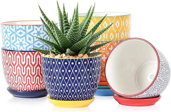 Selamica Ceramic Succulent Pots, 4.6 Inch Small Plant Pots by Selamica