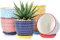 Selamica Ceramic Succulent Pots, 4.6 Inch Small Plant Pots by Selamica