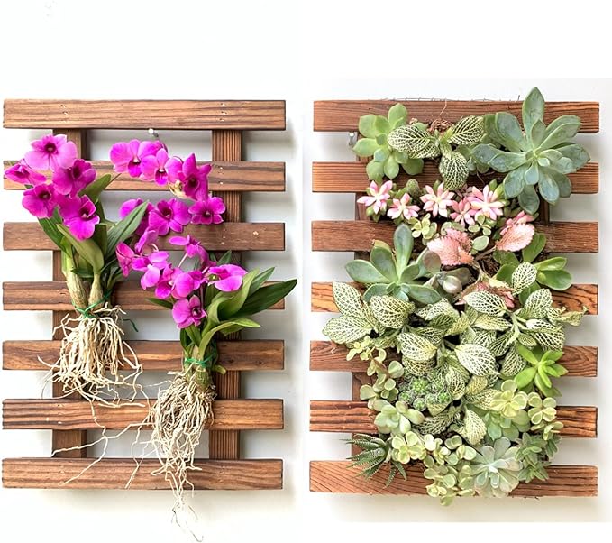 ShopLaLa Wall Planter by ShopLaLa