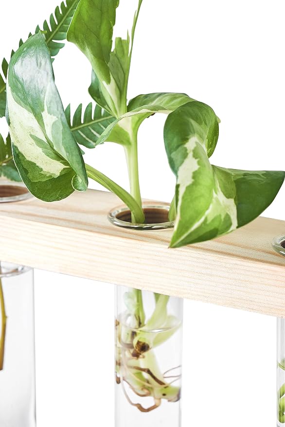 Mkono 3 Tiered Wall Hanging Plant Terrarium - Image 4