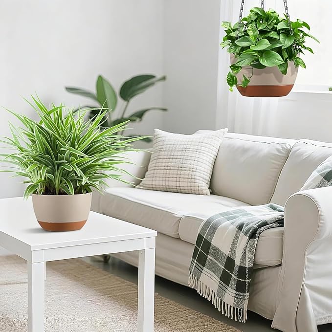 Hanging Planters for Indoor Plants - Image 4
