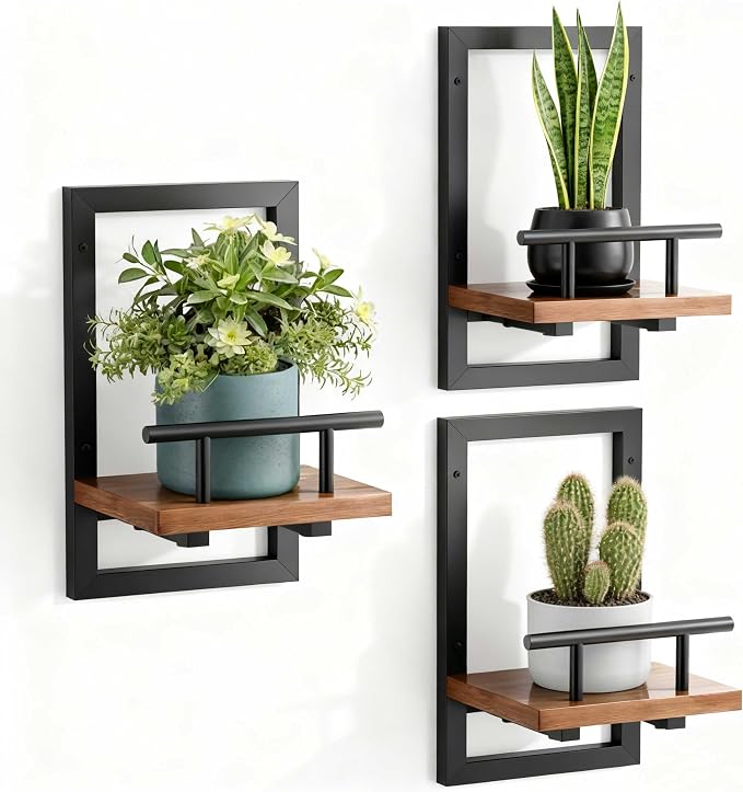bosbo Floating Shelves for Wall, Plant Shelf Indoor, Wall Planters for Indoor by SBOSBO