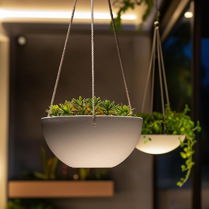 LA Jolie Muse Hanging Planter - Image 8