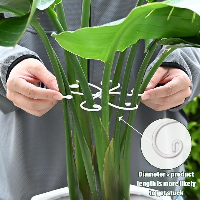 5PCS Monstera Plant Support Hook - Image 4