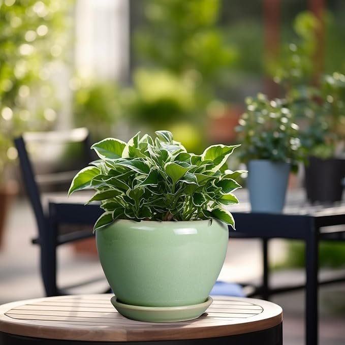 6 Inch Plant Pot - Image 4