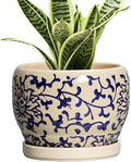 SQOWL Ceramic Flower Pots by SQOWL