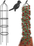 6FT Garden Obelisk Trellis for Climbing Plants, 70”Metal Plant Support Tower by TCBWFY