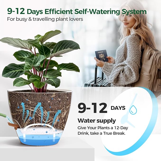 T4U 2 Pack 8 Inch Self Watering Pots - Image 4