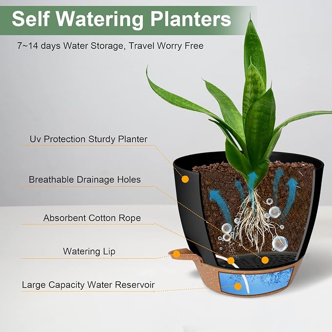 Planters for Indoor Plants 3 Pack, 10/9/8 Inch Self Watering Flower Pots - Image 3