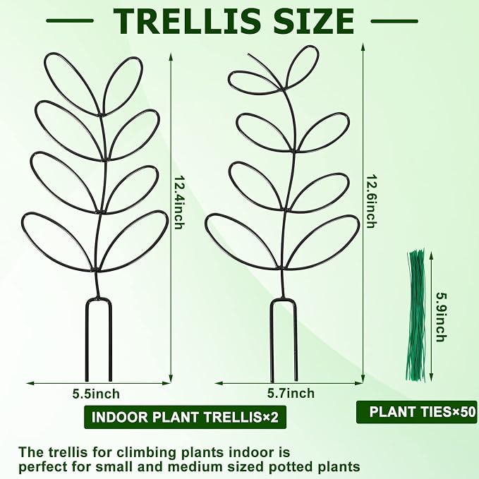 AUGSUN 2 Packs Indoor Plant Trellis Garden Trellis - Image 2