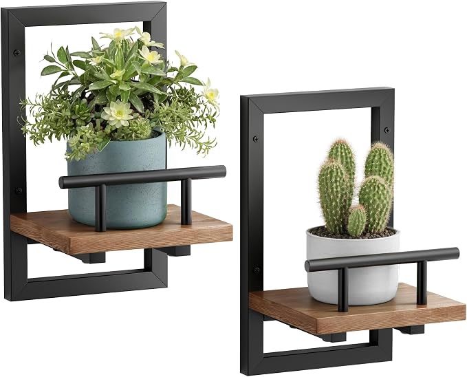 Floating Shelves for Wall, Plant Shelf Indoor, Wall Planters for Indoor by SBOSBO