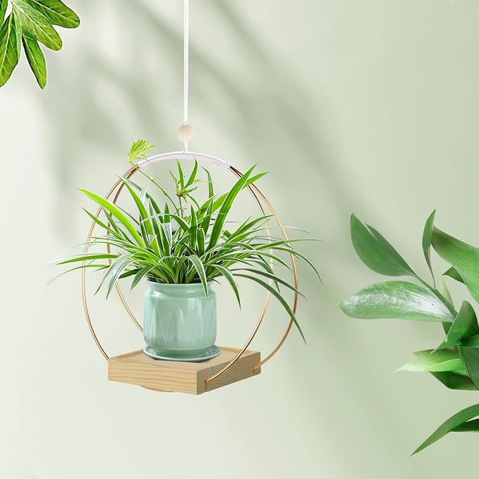 Hanging Planter for Indoor Plants, Plant Hanger - Image 6