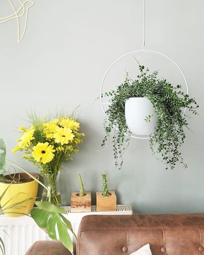 2 Pack Hanging Planters for Indoor Outdoor Plants Modern Metal Plant Hangers - Image 6