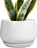 G EPGardening Ceramic Pots for Plants by GEPGardening