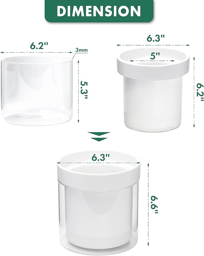 Phoenix Vine 6 Inch Self Watering Planter - Image 3