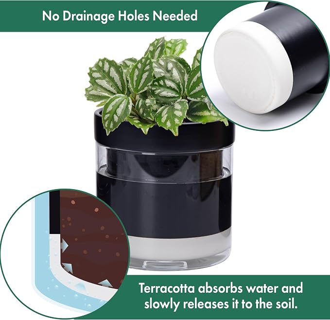 Phoenix Vine 6 Inch Self Watering Terracotta Planter - Image 5