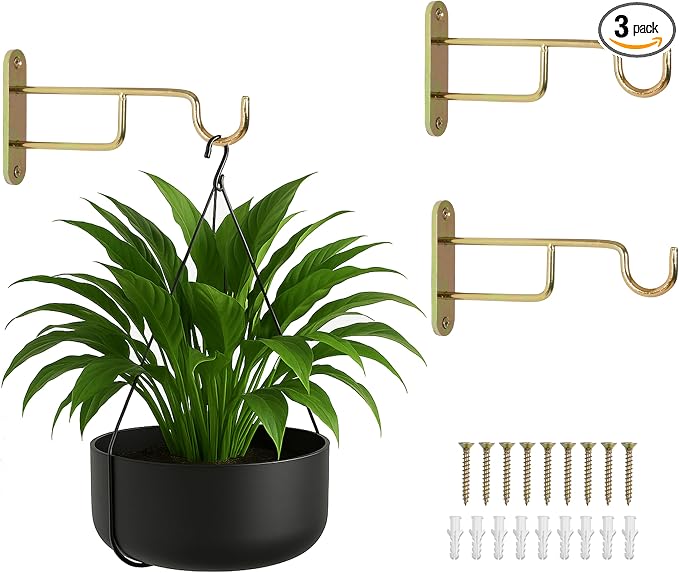 Ilyapa 3 Pack Metal Wall Plant Hangers by Ilyapa