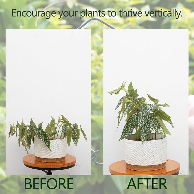 Monstera Plant Stem Support Set - Image 3